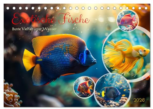 Exotische Fische (Tischkalender 2026 DIN A5 quer), CALVENDO Monatskalender: Tauchen Sie ein in die faszinierende Welt exotischer Fische, wo Farben explodieren und Formen verzaubern. (CALVENDO Tiere)