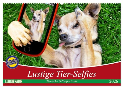 Lustige Tier-Selfies. Tierische Selbstportraits (Wandkalender 2026 DIN A2 quer), CALVENDO Monatskalender: Witzige Selbstportraits aus der Tierwelt (CALVENDO Tiere)