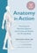 Anatomy in Action: The Dynamic Muscular Systems that Create and Sustain the Moving Body