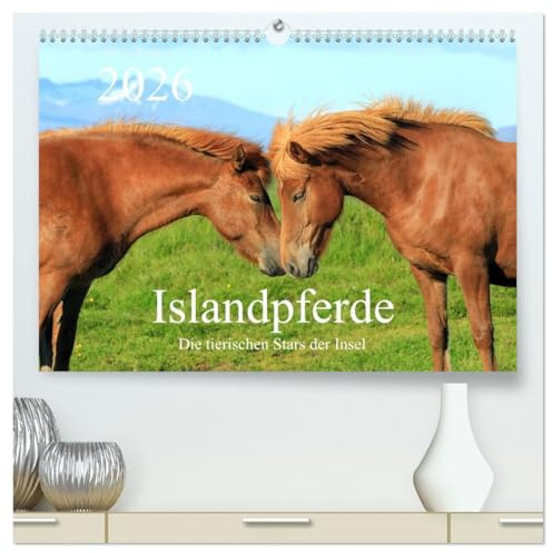 Islandpferde - Die tierischen Stars der Insel (hochwertiger Premium Wandkalender 2026 DIN A2 quer), Kunstdruck in Hochglanz: Liebevolle Fotos von ... ihrem natürlichen Lebensraum (CALVENDO Tiere)