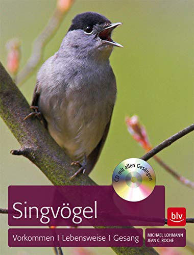 Singvögel: Vorkommen, Lebensweise, Gesang (BLV Vögel)