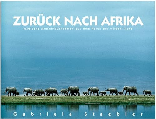 Zurück nach Afrika: Magische Momentaufnahmen aus dem Reich der wilden Tiere