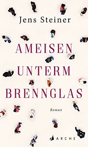 Ameisen unterm Brennglas: Roman
