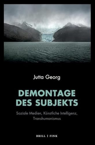 Demontage des Subjekts: Soziale Medien, Künstliche Intelligenz, Transhumanismus