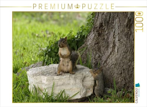 CALVENDO Puzzle Squirl mit Baby | 1000 Teile Lege-Größe 64 x 48 cm Foto-Puzzle für glückliche Stunden