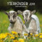 Tierkinder (BK) 226919 2019: Broschürenkalender mit Ferienterminen. Babys von Tieren in süßen Bildern. 30 x 30 cm