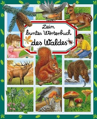 Dein buntes Wörterbuch des Waldes