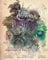 Dark Crystal Bestiary: The Definitive Guide to the Creatures of Thra (The Dark Crystal: Age of Resistance, The Dark Crystal Book, Fantasy Art Book)