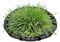 Lunaobrik Anillo Flotante para Plantas - Barrera Flotante para Peces y Flora Acuática,Malla De 45 Cm con Rejilla Fina Decorativa para Estanques De Peces Y Jardín Decoración De Exteriores Y Hogar