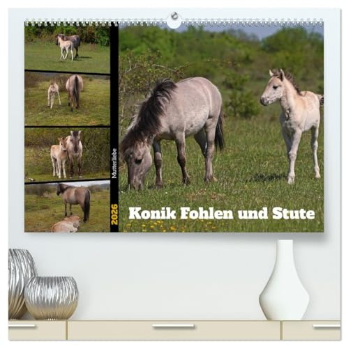 Mutterliebe - Konik Fohlen und Stute (hochwertiger Premium Wandkalender 2026 DIN A2 quer), Kunstdruck in Hochglanz: Ausgewählte Fotos junger Konik Fohlen mit ihrer Mutter (CALVENDO Tiere)
