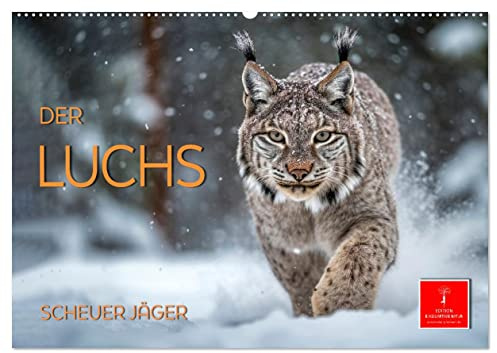Der Luchs - scheuer Jäger (Wandkalender 2026 DIN A2 quer), CALVENDO Monatskalender: Der Luchs - das Pinselohr - die größte Katze Europas. (CALVENDO Tiere)
