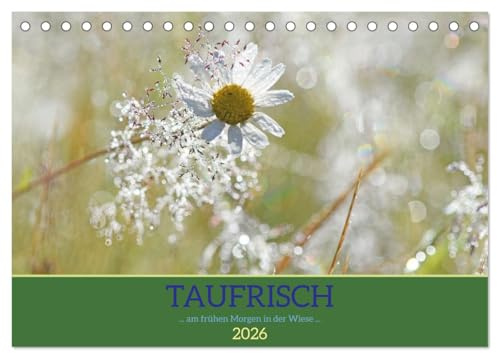 Taufrisch ... am frühen Morgen in der Wiese (Tischkalender 2026 DIN A5 quer), CALVENDO Monatskalender: Erfrischende Impressionen mit Tautropfen (CALVENDO Natur)