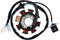 WOOSTAR 8 Bobines 5 Fils Magnéto Stator Remplacement pour 4 Temps 125cc 150cc Chinois ATV GY6 152QMI Moteur Taotao Crossfire Scooter