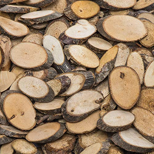 Baker Ross Rondelles de Rondins de Bois Naturel (Paquet de 450), AF918
