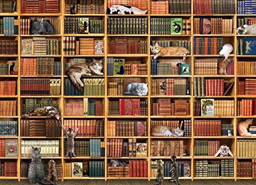 SDHJMT 1000 PCS Jigsaw Puzzles The Cat Library , Educational Intellectual Decompressing Fun Game for Kids Adults