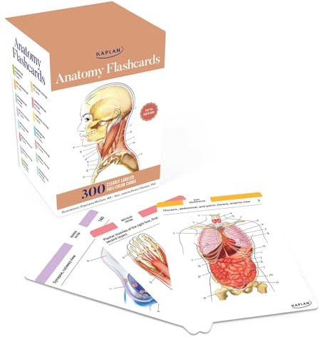 Anatomy Flashcards: 300 Flashcards with Anatomically Precise Drawings and Exhaustive Descriptions