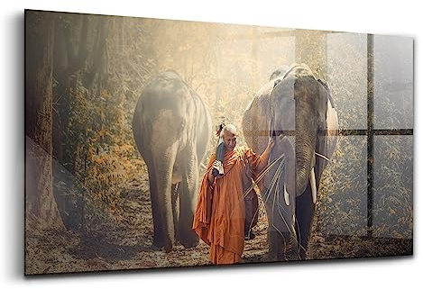 Wallfluent 100x50 cm Glasbild Dekoration Wohnzimmer Schlafzimmer Küche Wandkunst - Ein mönchierender Elefanten