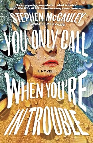 You Only Call When You're in Trouble: A Novel