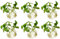 Nuptio 6 Piezas de Macetas de Vidrio para Colgar en la Pared, 10cm de Diámetro, Maceta de Vidrio Redonda, Jarrones para Plantar Agua, Florero de Aire, Terrarios de Plantas, Contenedor de Plantas