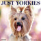 Just Yorkies 2021 Calendar