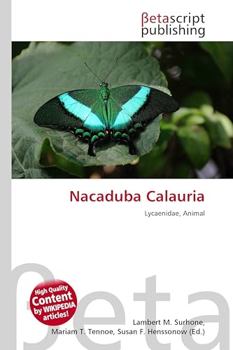 Nacaduba Calauria: Lycaenidae, Animal