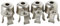 Confon AG 71704 Spikes Spider Fix Lot de 4 Clips 17 mm
