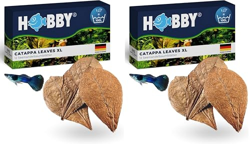 HOBBY Aquaristik Catappa Leaves XL I 12 Stück I große Seemandelbaumblätter für Aquarien I fördert Vitalität und Wohlbefinden von Fischen und Garnelen I natürlicher Wasserzusatz für Süßwasseraquarien