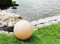 Trango 300S Gartenkugel IP65 Kugelleuchte 30cm Durchmesser in Sandstein-Optik *SANDSTONE* mit je 5 Meter Kabel & E27 Fassung Kugellampe, Gartenleuchte, Außenleuchte, Außenlampe ohne Leuchtmittel
