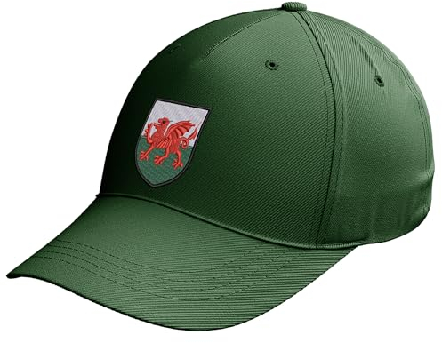 Purple Print House Wales Badge Embroidery Cap Unisex Welsh Dragon Baseball Hat Cymru Rugby Football Supporters, One Size, Bottle