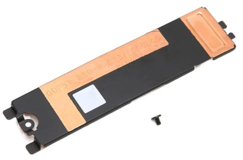 VOANZO Laptop M.2 SSD Kühlkörperabdeckung Kompatibel mit Dell XPS 15 9500 9510 9520 precision5550 5560 Rechte SSD