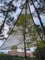 Ultimate Adventure 380cm Multi Person Aerial Camping Hammock: Triangle Mat with 3 Point Suspension for Tree Houses and Outdoor Fun Black 280cm