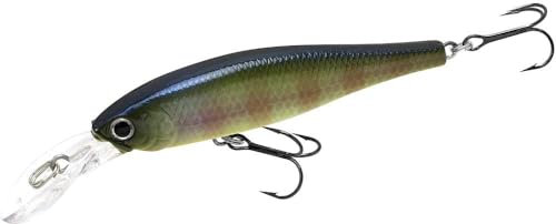 Lucky Craft Pointer 65DD 6.5cm 5.4g - Wobbler, Farben Lucky Craft:BE Gill