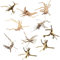 Tsudoku Mini Driftwood for Aquarium Natural Wood Branches Fish Tank Decorations Tree Trunk Driftwood Assorted(10 Pack)