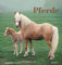 Pferde 2024 - Postkartenkalender 16x17 cm - Horses - zum Aufstellen oder Aufhängen - Monatskalendarium - Gadget - Mitbringsel - Alpha Edition