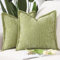 Madizz 2er Set Chenille Samt mit Rand Kissenbezüge Weiche Dekorativ Zierkissenbezüge Modern Kissenhülle für Sofa Wohnzimmer Schlafzimmer Hellgrün 50x50 cm