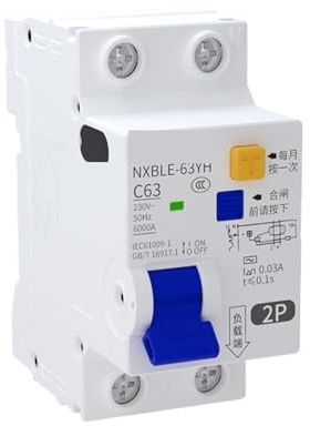 1 pièces 30mA 100mA 300mA NXBLE-63YH RCBO 16A 32A 63A disjoncteur à courant résiduel différentiel 1PN 2P 230V(300mA,2P,63A)