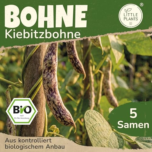 Little Plants BIO Bohne Samen 5 Bohnensamen Stangenbohne - Kiebitzbohne Gemüsesamen Gemüsesaatgut Samenfest für Gemüsegarten, Hochbeet, Küche, Balkon und Garten