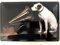 Metall Schild 20x30cm His Master´s Voice Hund Retro Blechschild