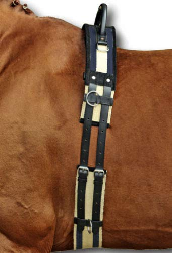 HKM Longiergurt-1795 Longiergurt Schwarz Shetty