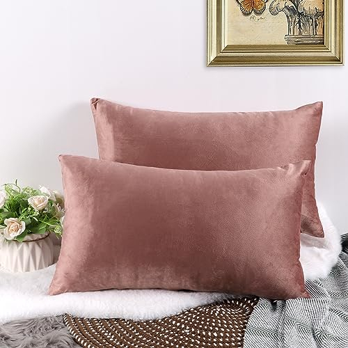CALIYO Kissenbezug 40 x 80, Samt Uni Kissenhülle, Kissenbezüge für Zierkissen Dekokissen Sofakissen Couchkissen viele Farben (40x80 cm, Altrosa).