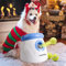 Pet Prime Automatic Dog Ball Launcher, Dog Ball Thrower with 10-30 Ft Launch Distance, Interactive Puppy Pet Fetch Toy, Mini Ball Throwing Machine for Small and Medium Dogs, With 3 PCS 2 Tennis Balls