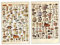 Froiny 2 Stücke Vintage Pilz Poster Wanddekoration Pilzdruck Und Botanisches Plakat Tier Botanischer Druck Und Botanisches Poster (30 * 40 cm)