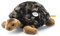 Steiff 067945 Slo Schlidkröte 32cm, Gruen, Treetop