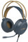 Hogwarts Legacy - Casque de jeu filaire pour PC/Xbox One/SeriesX/S/PS4/PS5/Switch