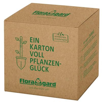 Floragard Pinienrinde fein 2-8 mm in der Box 60 Liter