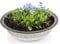 Vasca rotonda in zinco come ciotola per fiori, ciotola in metallo per esterni – grande 35 cm in metallo come decorazione da giardino – ciotola in zinco come fontana solare in metallo o vaso per piante