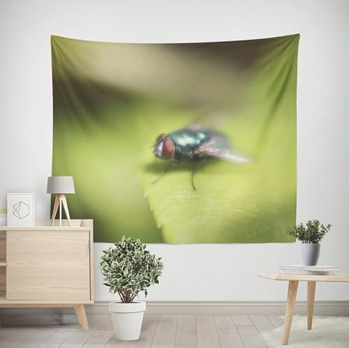 EHOMERY Wandbehang Stoffbild Wanddekoration Schlafzimmer Fliege Wandbehang Kunst Wandteppich Wandtuch Kinderzimmer Wohnzimmer Schlafzimmer Wandbehang Dekoration 350x250cm