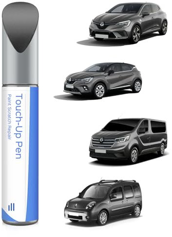 KNG Gris Cassiopee Nacre - Pintura de retoque metálica, acero gris metálico, para Renault Coincidencia exacta – Repara arañazos y desconchados