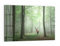 DEQORI Glasbild Echtglas | Motiv Hirsch zwischen Bäumen | horizontal einteilig 90x60 cm | schöne Dekoration | Wandbild für Wohnzimmer, Schlafzimmer, Flur & Küche | moderne Wanddeko