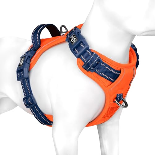 PHOEPET Dog Harness Large Dog, No Pull Vest with Handle, Reflective Strap | (Orange Base & Blue Straps,XL), Easy to Wear & Fully Adjustable, 2 Metal Clips, Quick-Release Buckles,Breathable Padding